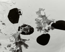 Image of life with peace